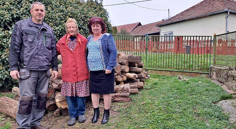 Családonként másfél köbméternyi tűzifa