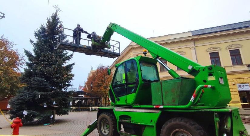 Felölti fényfűzérruháját Nyíregyháza fenyőfája - videó!