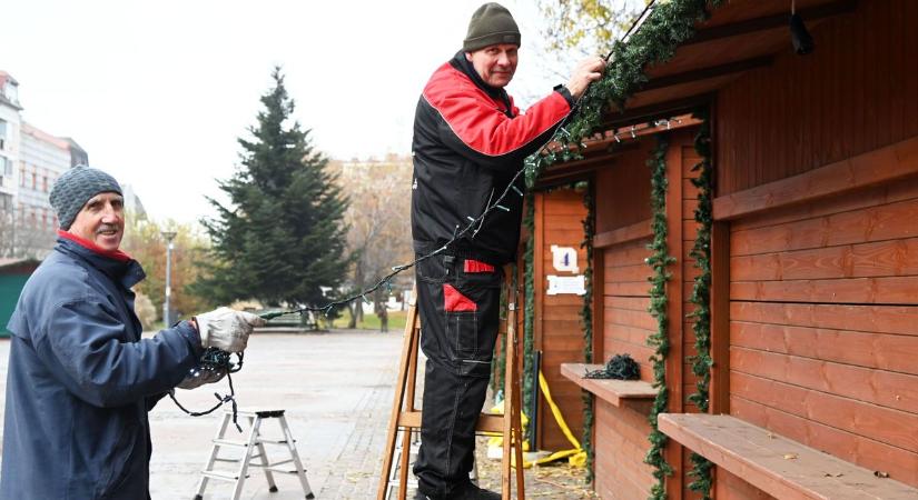 Megérkezett Szolnok karácsonyfája, kiderült, honnan hozták – galériával