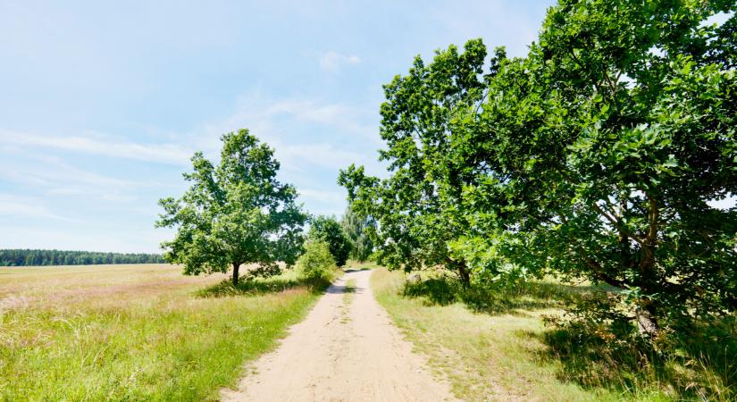 Súlyos gondok vannak a vízzel ebben a magyar térségben: ez lehet a megoldás?