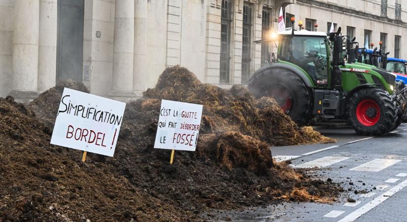 A mezőgazdaság haldoklik a tüntető francia gazdák szerint