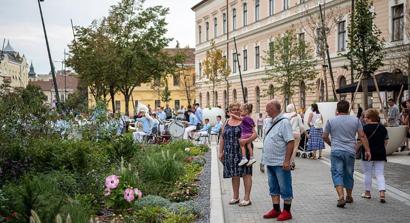 Ki kell vágni négy fát a Dósa nádor téren, de azonnal pótolják is őket