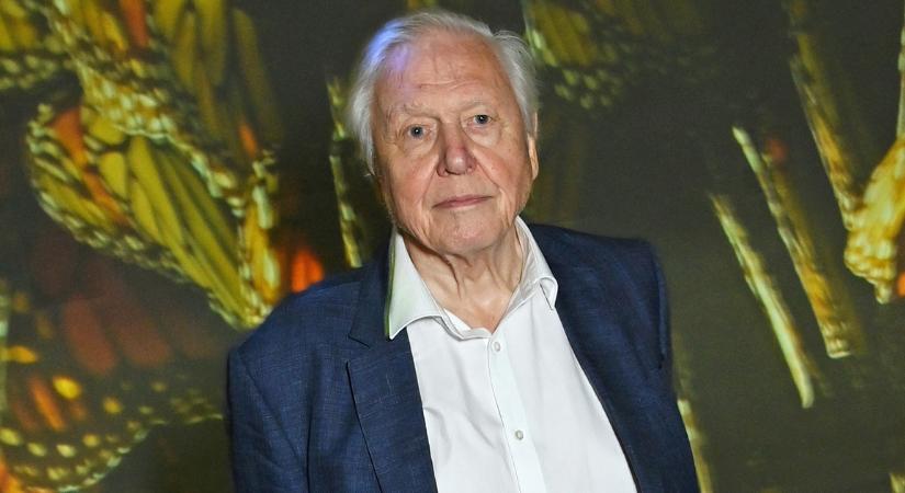 David Attenborough-t sokkolta, hogy mesterséges intelligenciával hamisítják a személyazonosságát