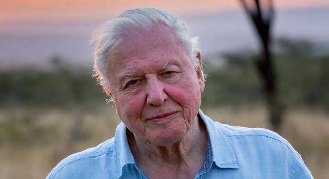 Lemásolta a mesterséges intelligencia Sir David Attenborough hangját, a világhírű narrátor kiakadt