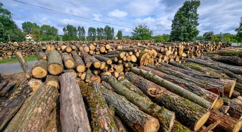 Rengeteg tüzelővel segíti a rászorulókat a település