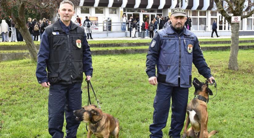 Rendőrkutyák akcióban: Győr-Moson-Sopronban is mintegy tíz négylábú szolgál – Videó