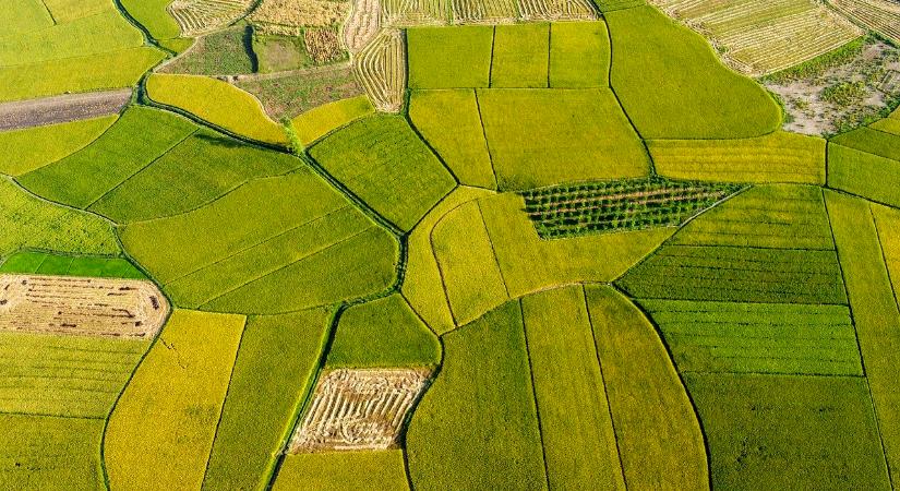 Több agrártárgyú törvény módosítását kezdeményezte a kormány