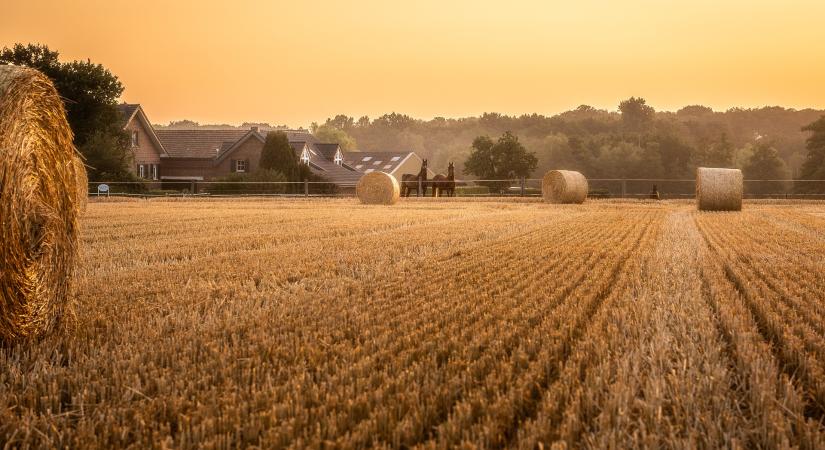 AM: végéhez ért az idei betakarítás és a vetés