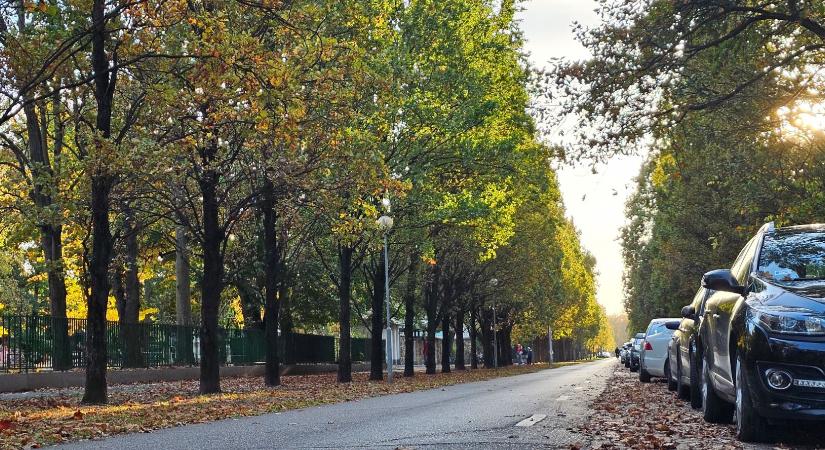 Teljesen új parkolási rendszert vezetnek be Debrecenben