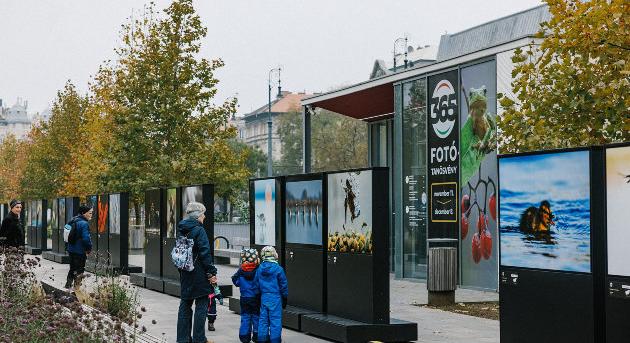 Magyarország állatvilágát bemutató szabadtéri fotókiállítás nyílt a Városligetben