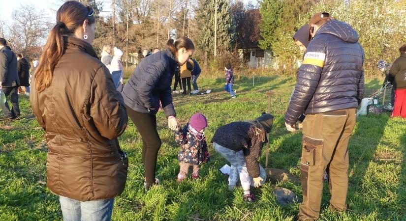 Csecsemők és diákok fái teszik szebbé a települést