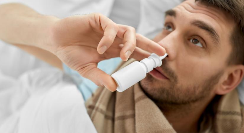 Kutyaharapást szőrével – miben segíthet az allergénspecifikus immunterápia?