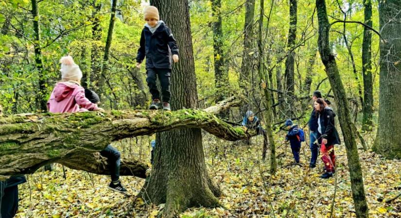 Az ősz színes arcait ismerhetjük meg a debreceni Botanikus kertben