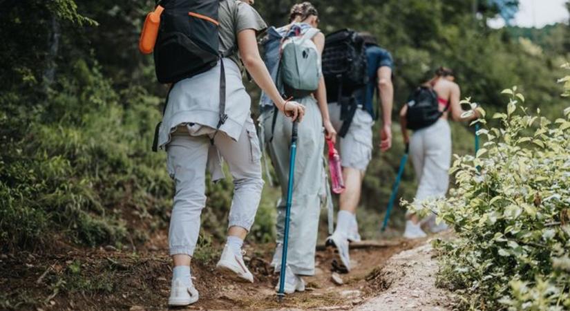 Ismét beveszik a Mecseket a természetbarátok