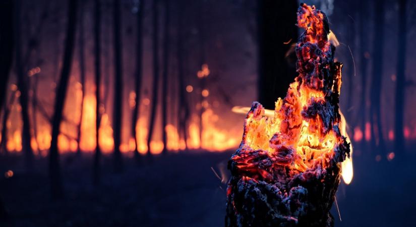 Ijesztő, mekkora pusztítást végeznek a lángok