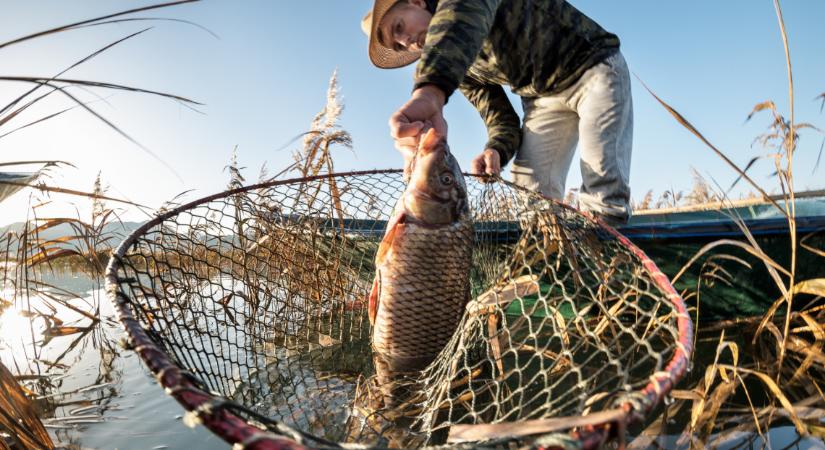 Szenzációs hír kaptak a hazai pecások: érintetlen tó nyílik, óriási pontyokkal és harcsákkal