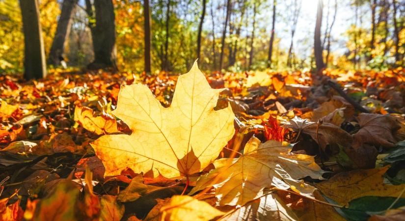 Változóan felhős időre van kilátás, akár többórás napsütéssel