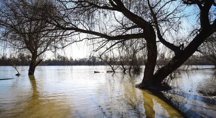 A jéghideg Tiszába vetette magát egy férfi Tiszasülynél