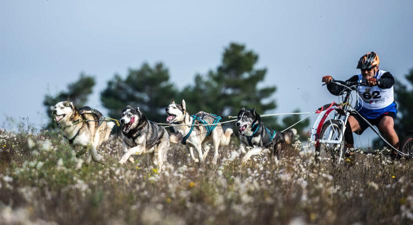 Különleges versenynek ad otthont a következő napokban Kaszó