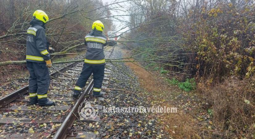 Parkoló autókra, vasúti sínre dőltek a fák a szerdai viharban