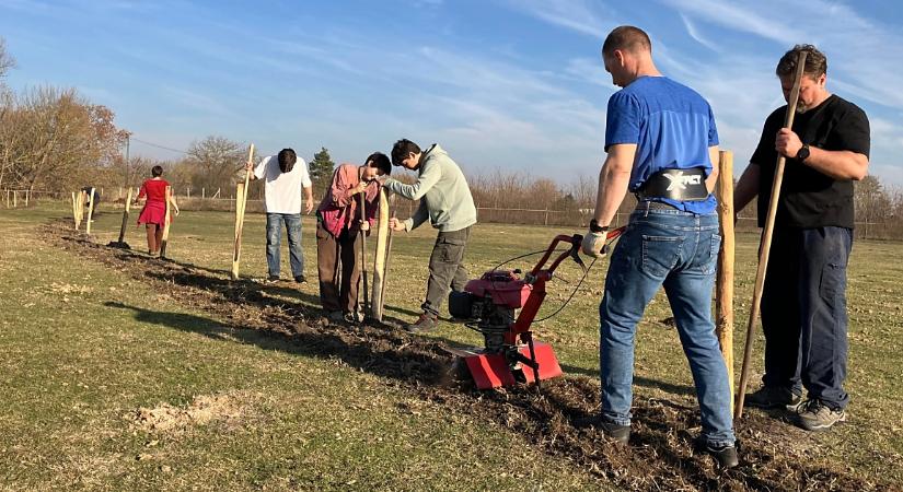 Faültetésre készülnek a hajdú-bihari erdőmentők