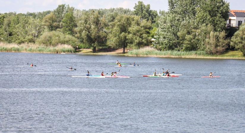 Kutatás indul a Tisza-tónál