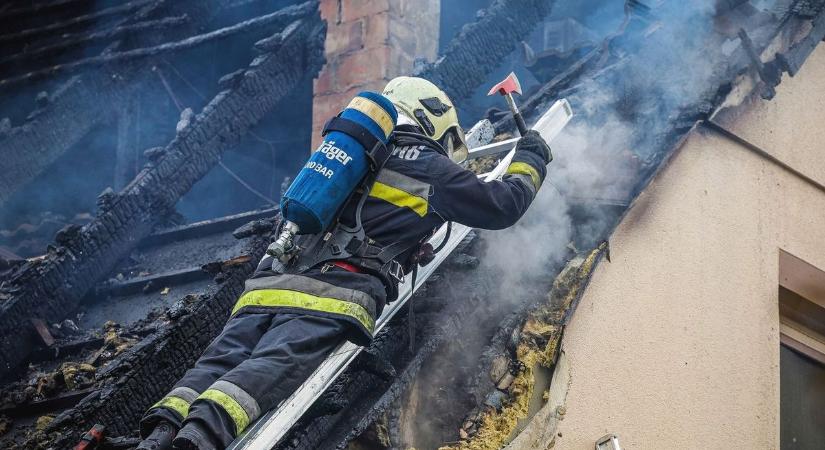 Egész Dalmand összefogott a házát elveszítő öttagú család megsegítésére