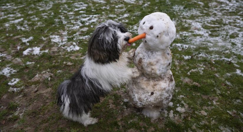 Orvosmeteo: kettős fronthatás, olvadó hó uralja a pénteket