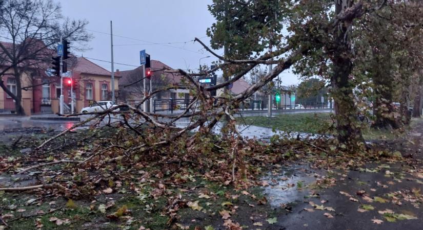 Ötször riasztották a vásárhelyi tűzoltókat