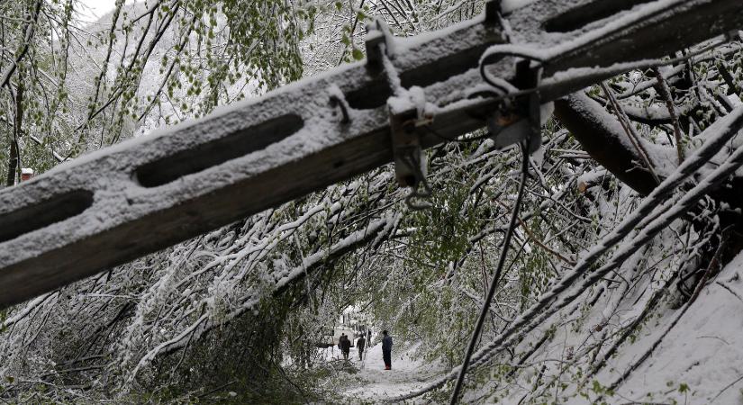 Már áram sincs a Dunakanyarban, szikráznak a szakadt vezetékek