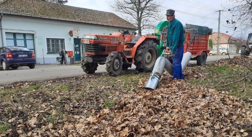 Lombgyűjtés: komoly árat fizethetünk, ha nem figyelünk!