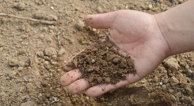 Soil-X-Change találkozó, talajmegújító innovációk és gyakorlatok bemutatása