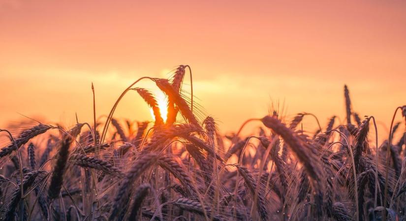 Az agrárium a szuverenitás egyik pillére