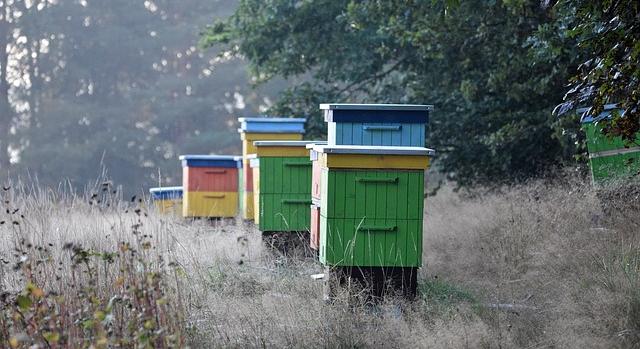 Több cukorral kellett segíteni a méhek beteleltetését