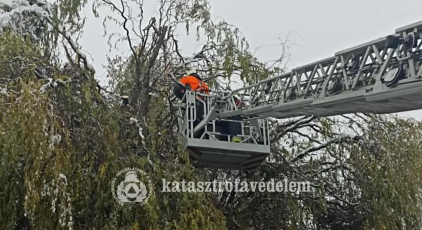 Harminckét tűzoltói beavatkozás az idei első hóban