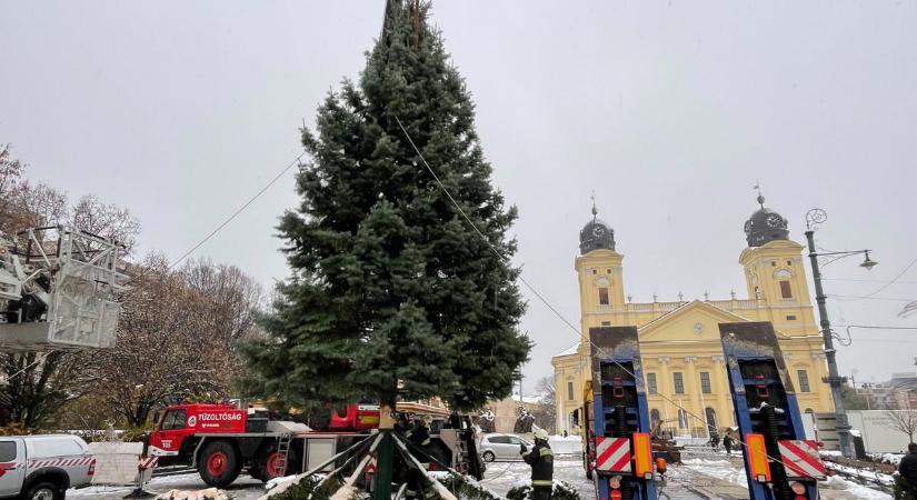 Megérkezett a főtérre Debrecen karácsonyfája - videóval