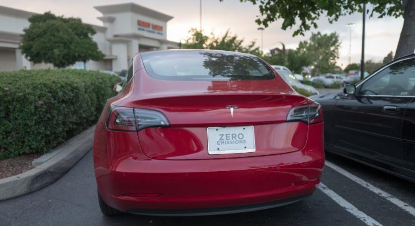 Musk-ellenes Tesla-tulajdonosokon gazdagodott meg ez a férfi