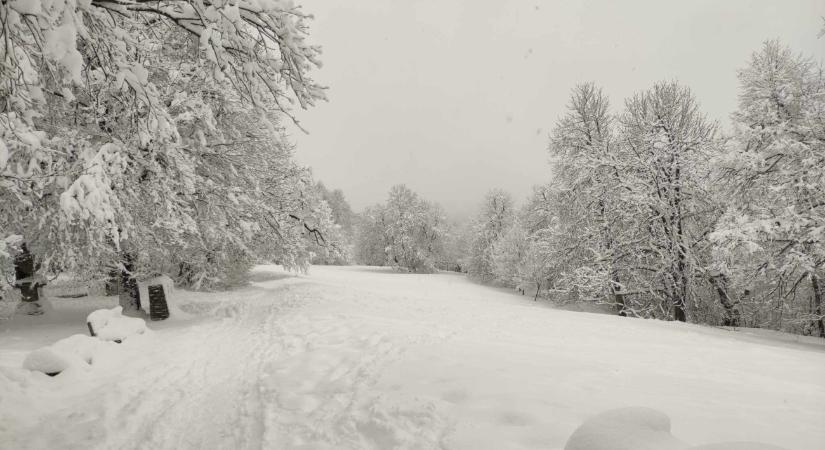 Tisztázta a Normafa Park, lehet-e síelni, kirándulni - fotók