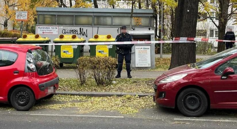 Tíznapos csecsemő holttestét találták meg a bécsi klinika közelében