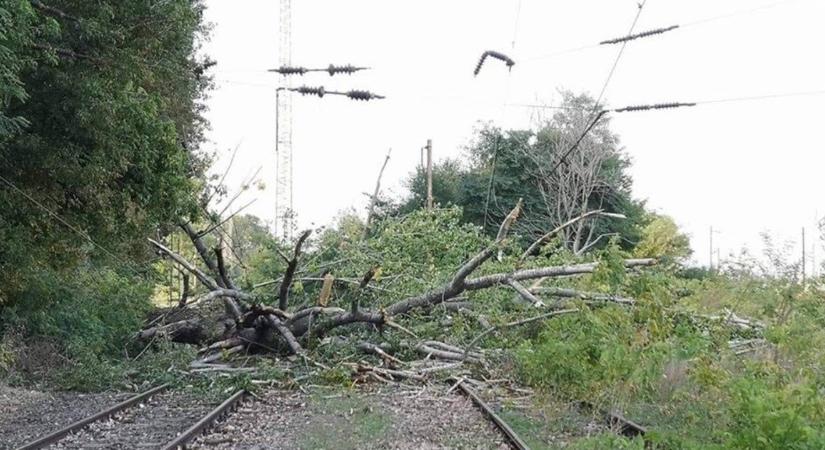 Felsővezeték-szakadás miatt jelentősek a késések több vasútvonalon