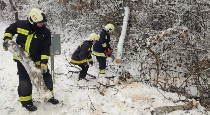 Kidőlt fákhoz riasztották a tűzoltókat a havazás után