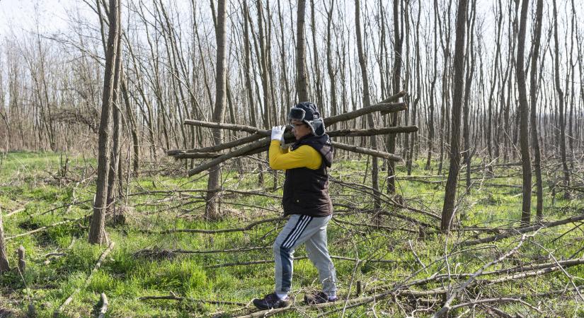 Az ázsiai vendégmunkások beilleszkedésére nagyobb az igény, mint az esély, életútjukat a magasabb fizetés alakítja