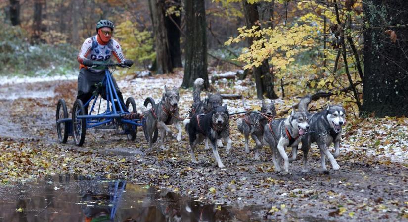 Hóban, sárban loholtak a kutyák Kaszóban