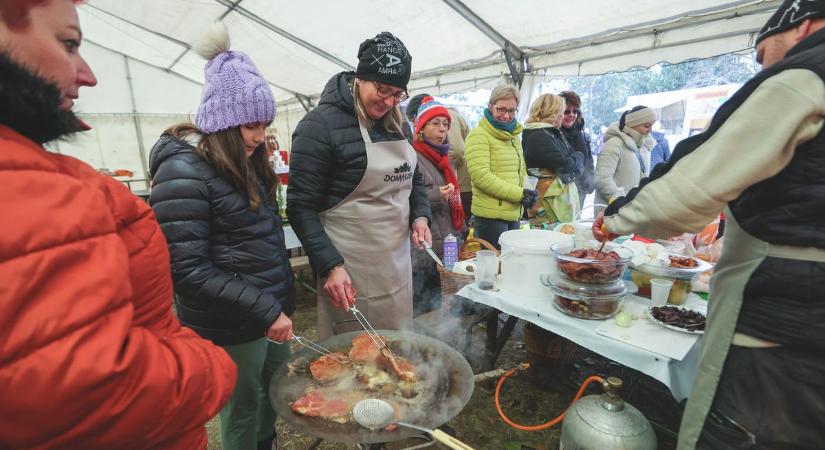 Hóesést hozott a disznó Domaszékre – galériával