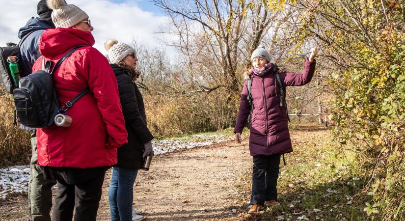 Mire jó a csipkebogyó vagy a fekete nadálytő? – a Bögretúra résztvevői megtudhatták (galéria)