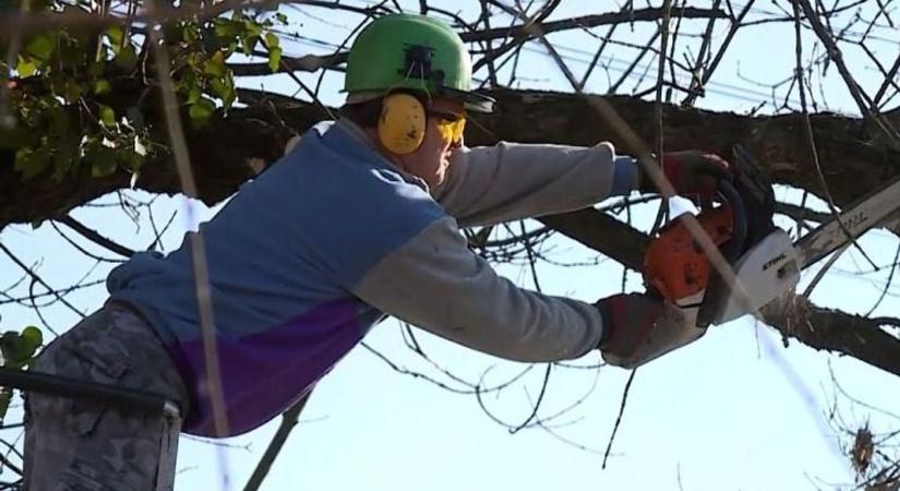 Jól haladnak a látványos munkákkal Cegléden, de az időjárás még közbeszólhat