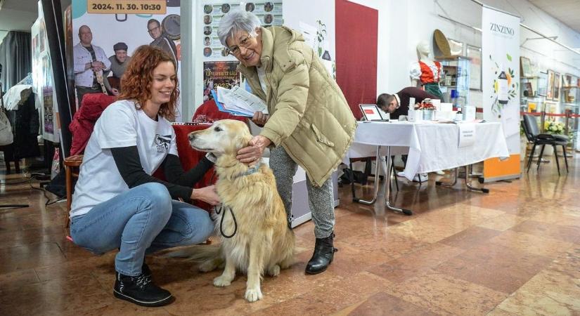 Az egészségről és a természetes életmódról szólt a gyöngyösi Natura Nap