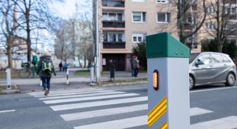 Zebrák Székesfehérváron: Új fejlesztések jöhetnek!