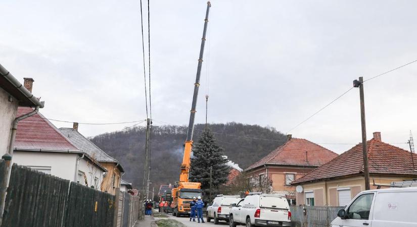 Lezárt utca, nagy tömeg Dubicsányban: vágják az ország karácsonyfáját – fotók, videó!