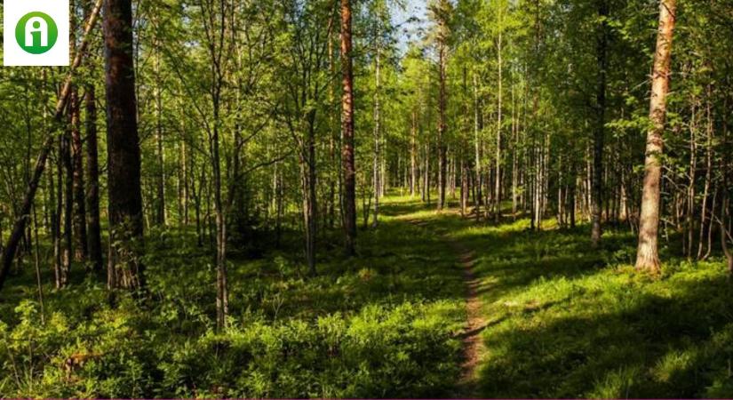 Amikor az ember védeni próbálja a természetet, van, hogy csak ront a helyzeten...